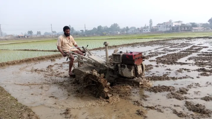 ফুলবাড়ীতে বোরো ধান রোপনে ব্যয় বৃদ্ধি আশংঙ্খায় কৃষক